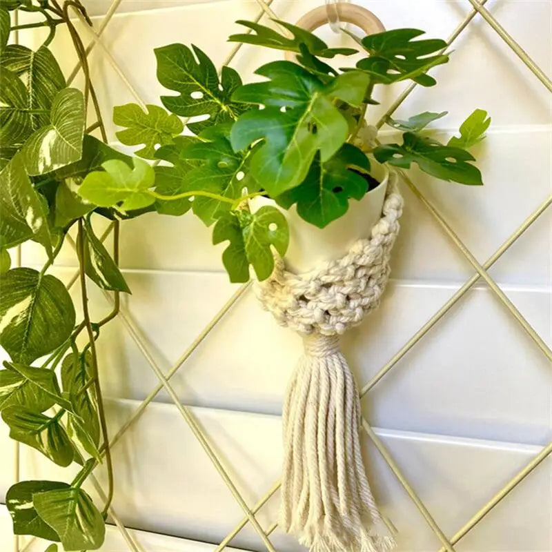 Colourful Macrame Wall Hanging Air Plant Holde