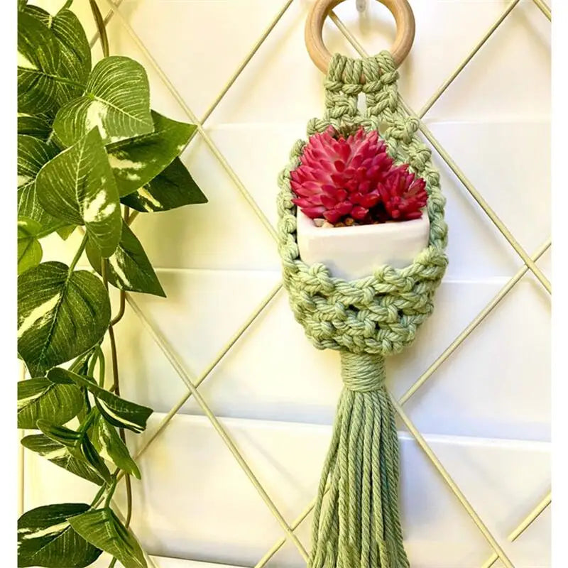 Colourful Macrame Wall Hanging Air Plant Holde